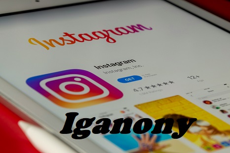Iganony: The Tool for Private Instagram Browsing
